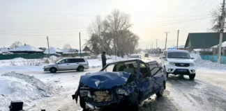 Подробности ДТП в Камне-на-Оби, в котором пострадали трое человек, включая ребенка