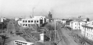 15 февраля 1965 года: подробности и причины разрушительного землетрясения в Камне-на-Оби
