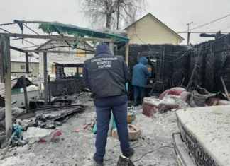 Подробности пожара в Новосибирске, в котором погибли мама и дочь из Камня-на-Оби