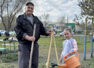 Жители дома в Камне-на-Оби не только провели субботник, но и посадили сосновую аллею