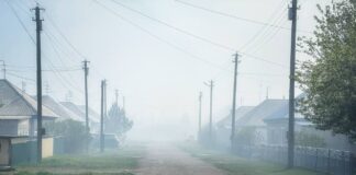 Жители Камня-на-Оби оказались в «газовой камере» из-за горящей свалки отходов. Видео