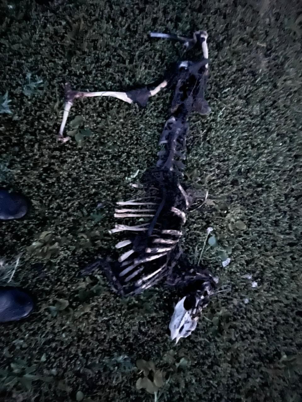 5312246488245599340