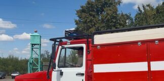 В Алтайском крае благодаря авиалесоохране 99% лесных пожаров удается потушить в первые сутки