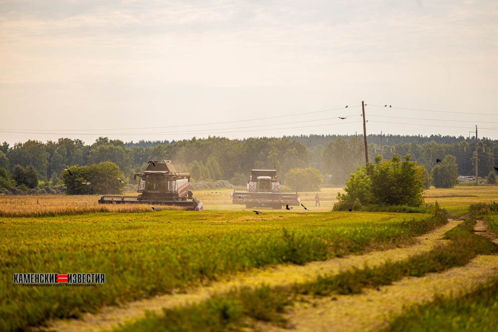 IMG_20240804_092958_228