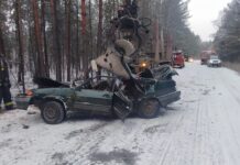 Пьяного водителя хотят взять под стражу за смертельное ДТП в Крутихинском районе