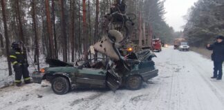 Пьяного водителя хотят взять под стражу за смертельное ДТП в Крутихинском районе