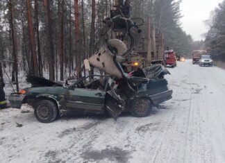 Пьяного водителя хотят взять под стражу за смертельное ДТП в Крутихинском районе
