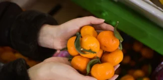 Выбор качественных мандаринов