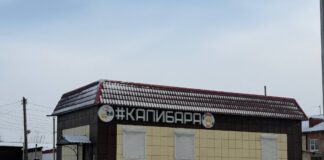 Жители Камня-на-Оби обеспокоены, что их дворы превращаются в общественные туалеты