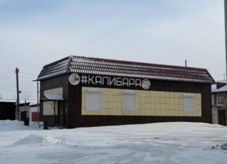 Жители Камня-на-Оби обеспокоены, что их дворы превращаются в общественные туалеты