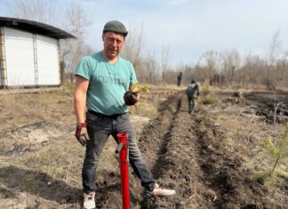 Как в Камне-на-Оби предприниматель и депутат устроили детский сад для елей