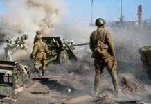 Земля героев. Письма с фронта жителя Каменского района, участника Сталинградской битвы Владимира Ращектаева