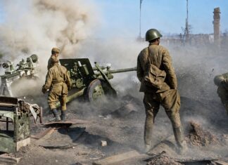 Земля героев. Письма с фронта жителя Каменского района, участника Сталинградской битвы Владимира Ращектаева