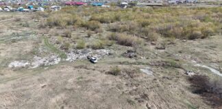 Житель Камня-на-Оби прицепом вез мусор на несанкционированную свалку и попал на видео