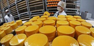 По объемам производства ряда ключевых пищевых продуктов Алтайский край лидирует в России
