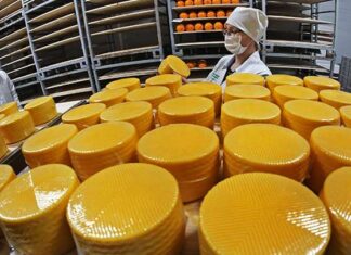 По объемам производства ряда ключевых пищевых продуктов Алтайский край лидирует в России