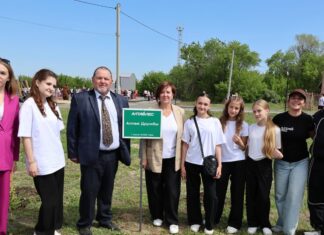 В Камне-на-Оби открыли новую детскую площадку за 2 млн рублей. Видео Вести Алтай