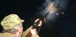 Мужчина открыл стрельбу на свадьбе в селе Корнилово Каменского района