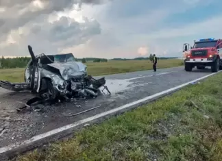 Двое взрослых и ребенок погибли в жестком лобовом ДТП в Каменском районе