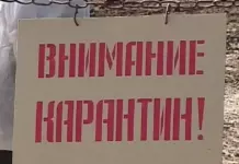 Бешенство в Камне-на-Оби: еще один очаг опасного заболевания нашли в Алтайском крае