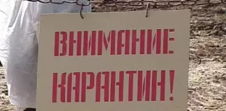Бешенство в Камне-на-Оби: еще один очаг опасного заболевания нашли в Алтайском крае