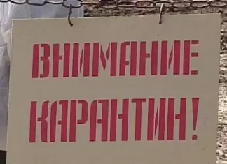 Бешенство в Камне-на-Оби: еще один очаг опасного заболевания нашли в Алтайском крае