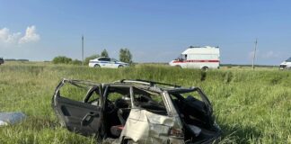 ДТП со смертельным исходом произошло в Каменском районе