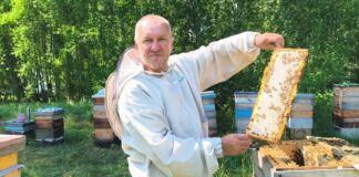 Евгений Малахов из Камня-на-Оби 30 лет занимается пчелами. Его мёд удостоен награды «Лучший мед России»