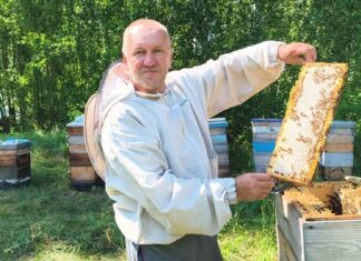 Евгений Малахов из Камня-на-Оби 30 лет занимается пчелами. Его мёд удостоен награды «Лучший мед России»